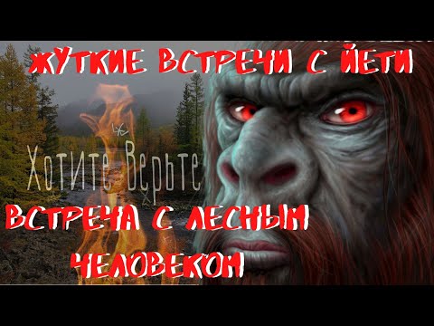 Видео: Жуткие встречи с Йети.Встреча с Лесным Человеком.
