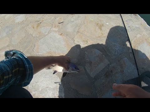 Видео: Гърция 09/23 част-2 Риболов с чепаре!