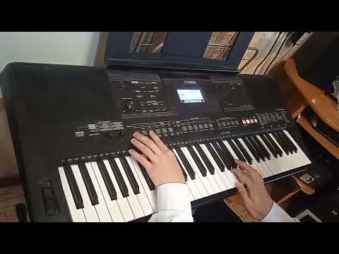Видео: Leon rose -Say you leave , на синтезаторе yamaha PSR e463