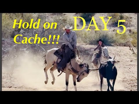 Видео: День 5 Лошадь не перестает брыкаться во время запряжки дикого скота