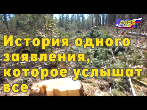 Видео: От “отписки” к делу: публичная проверка Бирилюсского района
