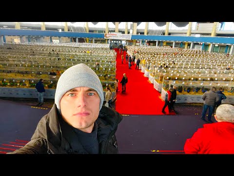 Видео: Самая Масштабная Выставка Голубей 14.12.24