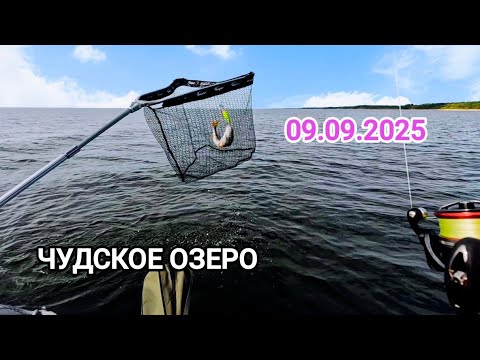 Видео: РЫБАЛКА НА ЧУДСКОМ ОЗЕРЕ.ЛОВИМ ОКУНЯ.ОТЛИЧНО ПРОВЕДЕННЫЙ ДЕНЬ.