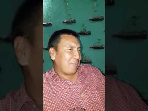 Видео: лейлек уруусунун лакаптарына бир тамаша