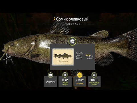 Видео: 📢СТРИМ РР4🔥ВЕЧЕРНИЕ ПОСИДЕЛКИ НА РЫБАЛОЧКЕ🔥РУССКАЯ РЫБАЛКА 4