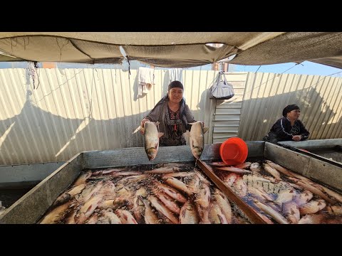 Видео: ХАЗАРАСП БАЛИК БОЗОРИ НАРХЛАРИ 5 СЕНТЯБРЬ 2024Г