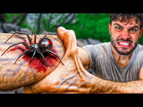 Видео: ЧЁРНАЯ ВДОВА!!! (Специальный 4 M) - Худшие Укусы #15