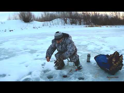 Видео: Установка зимнего перемета на налима на новом месте. Ловля живца.