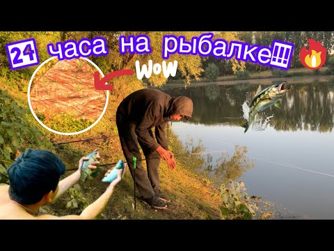 Видео: 24 часа на рыбалке. Ловля поплавочными и донными снастями. Рыбалка на макушатник. Ночёвка у реки