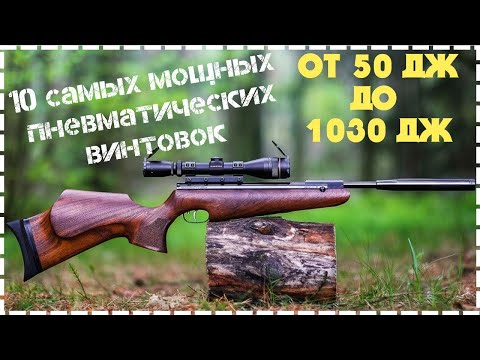 Видео: Топ 10 Самых Мощных Пневматических Винтовок