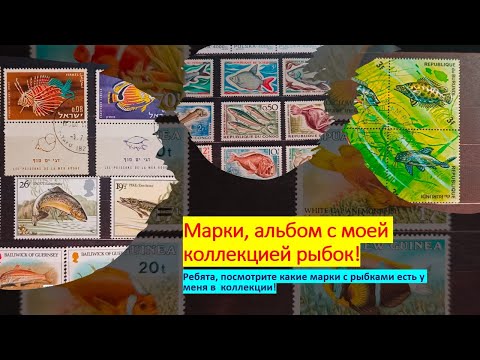 Видео: Марки, альбом с моей коллекцией рыбок!