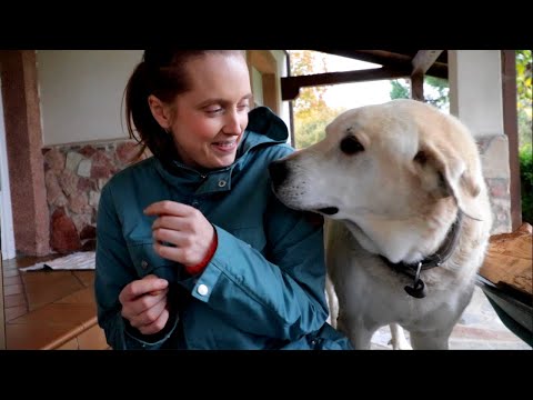 Видео: за что я люблю это место