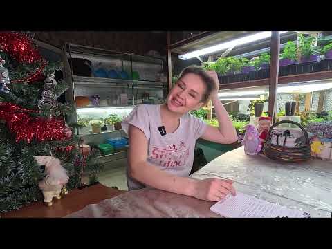 Видео: ПРИНИМАЮ ЭСТАФЕТУ И ПЕРЕДАЮ ДРУГИМ