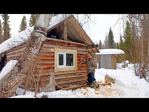 Видео: РЕМОНТ ИЗБУШКИ ПРОДОЛЖАЕТСЯ/ ХОРОШО ЗДЕСЬ В ЛЕСУ / УТРОМ ОБЛИЦЕВАЛ ОКНО И ВЫЕЗЖАЕМ ДОМОЙ.