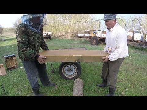 Видео: Дневник пчеловода - Перетопка воска