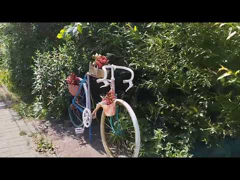 Видео: Східниця, 24 липня, вул. Зарічна вниз до вул. Шевченка  Ринок.