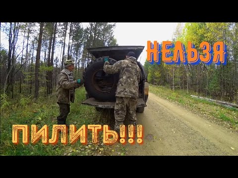 Видео: НАШЛИ ОТЛИЧНУЮ НАХОДКУ!!! пилити нельзя!!! ещё послужит!!!