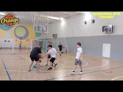 Видео: Подвижная игра "СОБАЧКА"