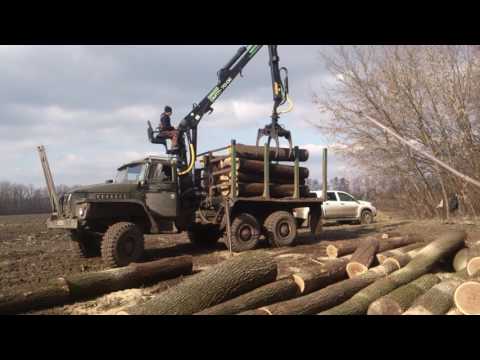 Видео: Погрузка леса за 9 минут манипулятором ОМТЛ 70-02