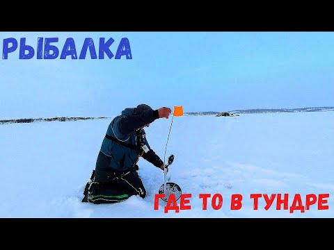 Видео: ТУТ ЩУКИ В КАЖДОЙ ЛУНКЕ!!! НАШЛИ МЫ ОЗЕРО!