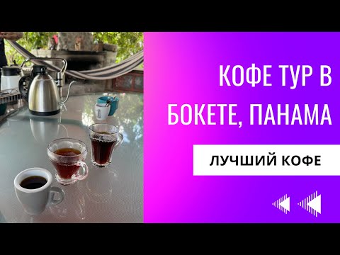 Видео: Самый вкусный кофе | Бокете, Панама, Экскурсия на кофейную плантацию