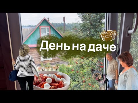 Видео: Летний день на даче!