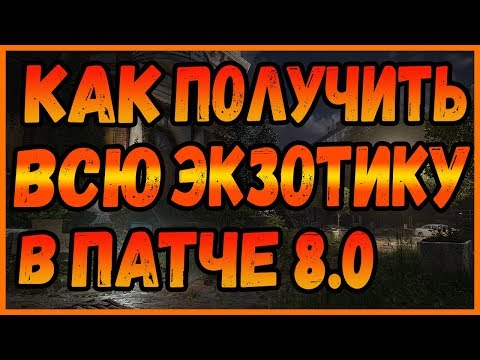 Видео: DIVISION 2 КАК ПОЛУЧИТЬ ВСЮ ЭКЗОТИКУ В ПАТЧЕ 8.0 | СТАРАЯ И НОВАЯ ЭКЗОТИКА ИЗ ДОПОЛНЕНИЯ НЬЮ-ЙОРК