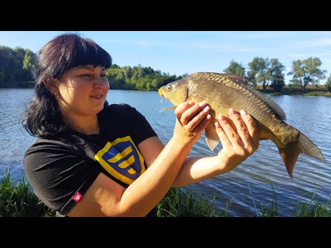 Видео: Нарешті Клює! Рекордна Кількість. Не Встигав Фідер Закидати