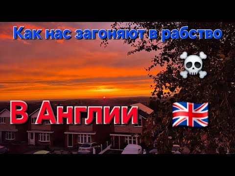 Видео: Постепенное понижение уровня жизни для эмигрантов в Англии (и не только для эмигрантов)