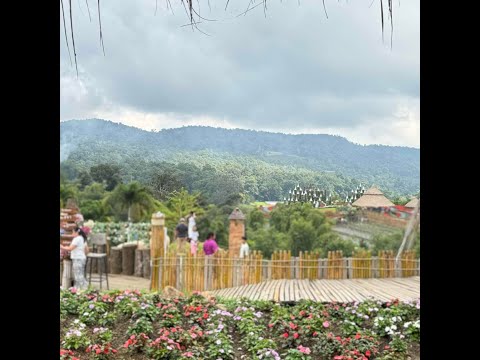 Видео: СТРИМ С ПЛЯЖА | ПЯТНИЦА И ЯНА В ГОСТЯХ 😊! #тайланд #паттайя #стрим #юмор