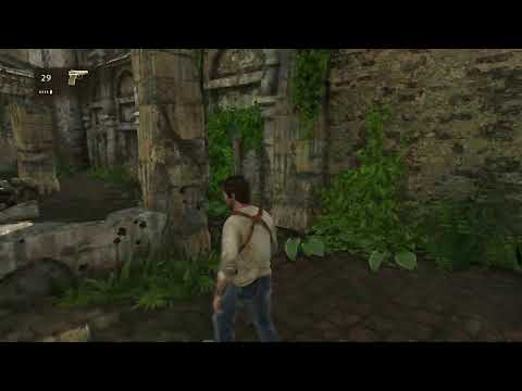 Видео: В Мире Животных