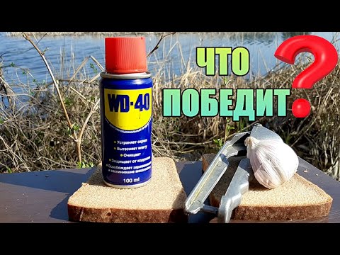 Видео: Опустил под воду WD-40 и ЧЕСНОК. Реакция рыбы. Подводная съёмка.