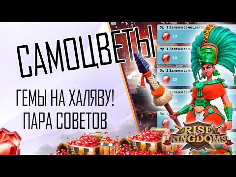 Видео: Фармим Самоцветы правильно! | Rise of Kingdoms
