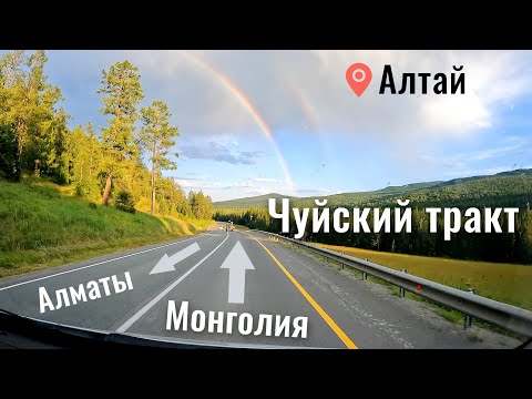 Видео: Чуйский тракт 2025: Дорога Барнаул - Кош-Агач | Горный Алтай, природа, перевалы.