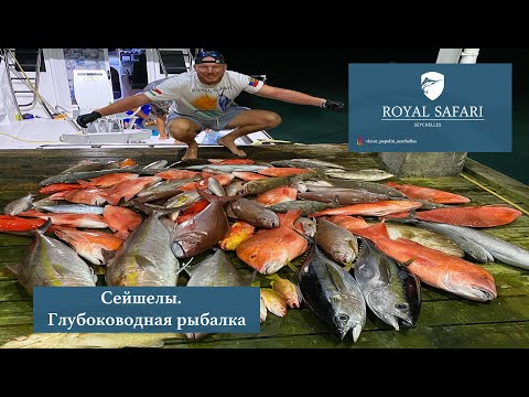 Видео: Сейшелы. Глубоководная рыбалка одним днем.