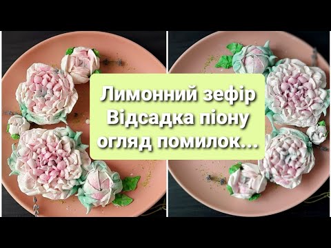 Видео: 🍋ЛИМОННИЙ зефір, заварний.  ЗЕФІРНИЙ ПІОН. Зефірна флористика #flowers #cooking