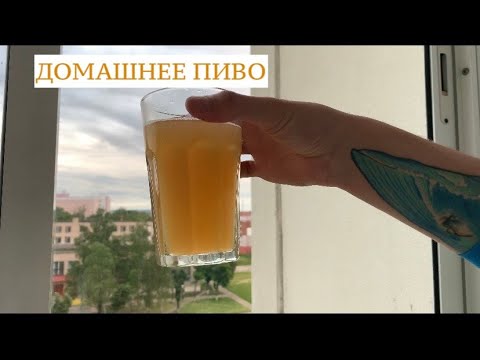 Видео: Домашнее пиво их хлеба. Самый простой рецепт