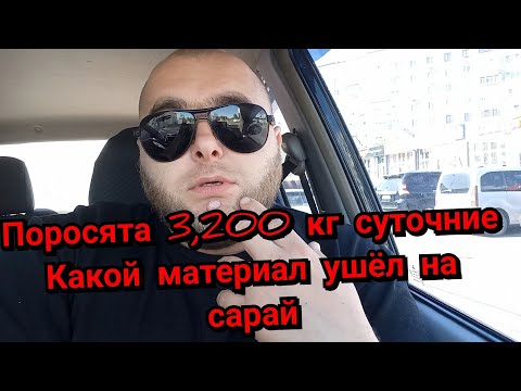 Видео: Насильно достал поросят из свинки❗️ Какой будет сендвич, и что купил из материала❓️❓️❓️