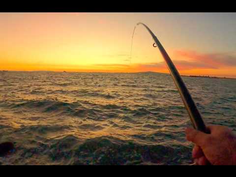 Видео: Рыбалка на причале Seal Beach Jetty. Мы поймали 5 рыб.