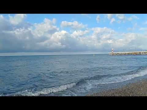 Видео: 1 ноября 2025 г.