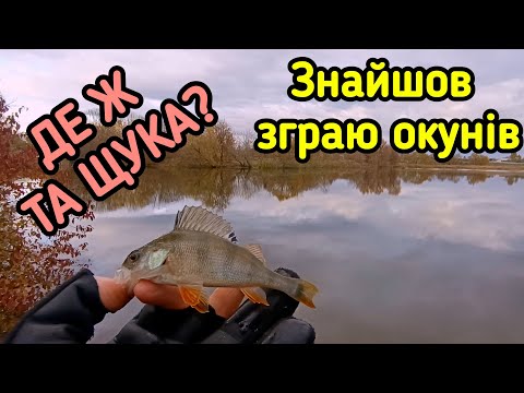 Видео: ЩУКА Є! АЛЕ НЕ КЛЮЄ! РИБОЛОВЛЯ В КІНЦІ ЖОВТНЯ!