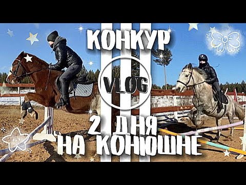 Видео: VLOG:2 ДНЯ НА КОНЮШНЕ//КОНКУР И ЭСТАФЕТА//🎧