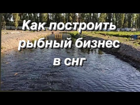 Видео: How to Build a Fish Farm: A Russian Business Guide/Выращивание форели