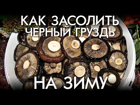 Видео: КАК ЗАСОЛИТЬ ЧЕРНЫЙ ГРУЗЬ НА ЗИМУ