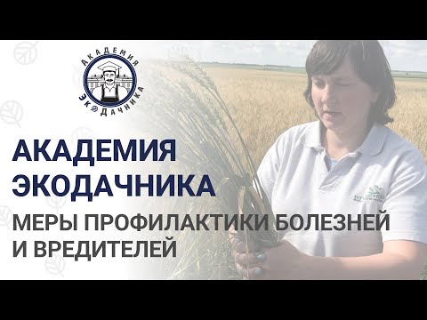 Видео: Меры профилактики болезней и вредителей | Академия Экодачника Здоровье почвы | 3 лекция