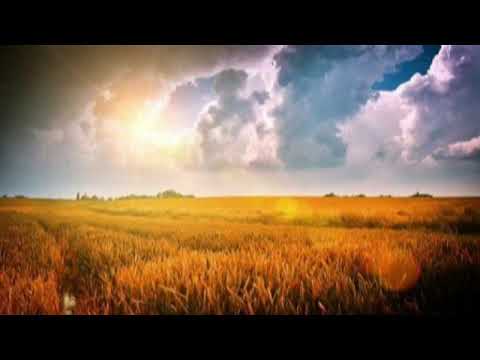 Видео: Аллохни калб билан таниш (7-дарс) - (Шайх Содик Самаркандий)