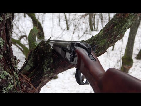 Видео: Последняя курковка. История одного охотничьего ружья.