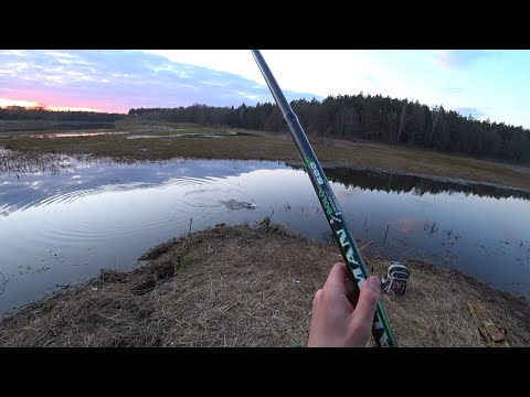 Видео: ВОТ ЭТО ПЛОТВА!!! НЕ ПЛОТВА, а БАТОНЫ! Открытие по жидкой воде на старице реки Неман.