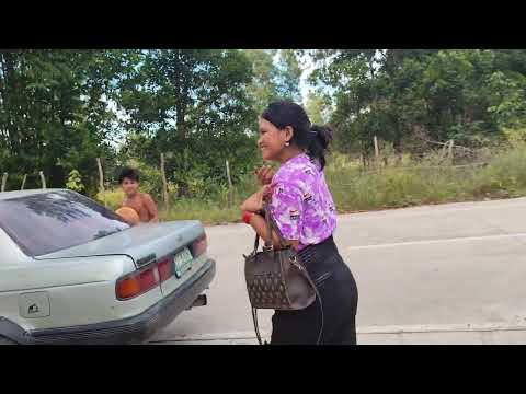 Видео: Катаемся и строим ,доставляем Айви до моста#ivi&tiger #phuketales