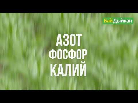 Видео: Азот, фосфор, калий кандай функцияны аткарат? Адистин жообу